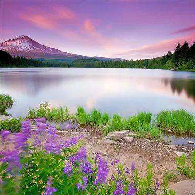 ku娱乐游app平台