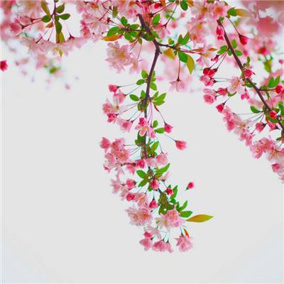 香港最准资料免费公开下载手机版